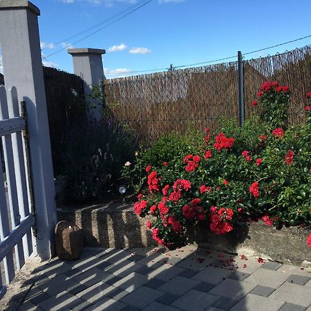 Les Magnolias En Alsace - Meuble De Tourisme 3 Etoiles Lägenhet Barembach Exteriör bild