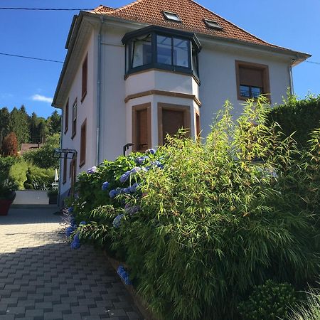 Les Magnolias En Alsace - Meuble De Tourisme 3 Etoiles Lägenhet Barembach Exteriör bild