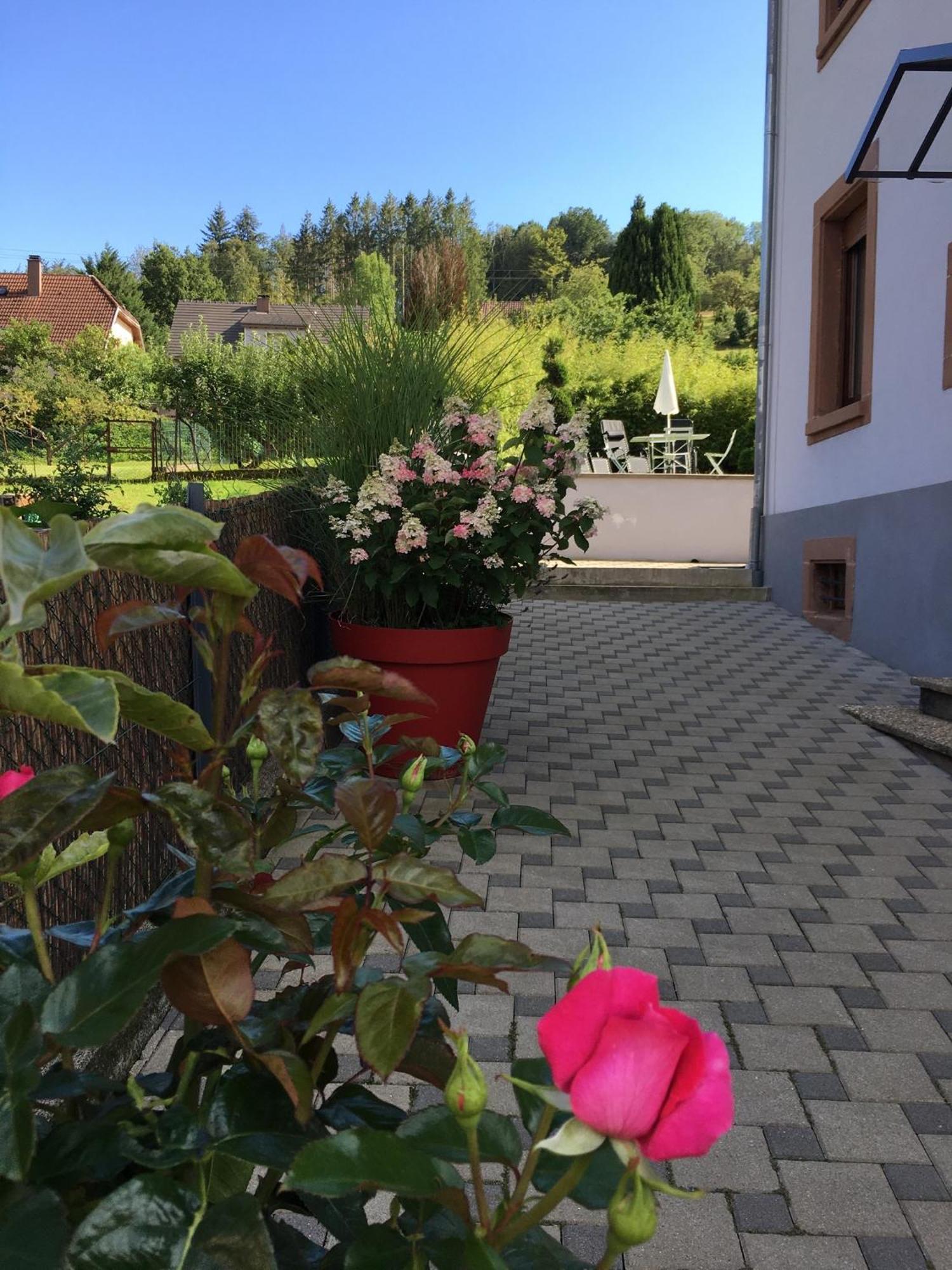 Les Magnolias En Alsace - Meuble De Tourisme 3 Etoiles Lägenhet Barembach Exteriör bild