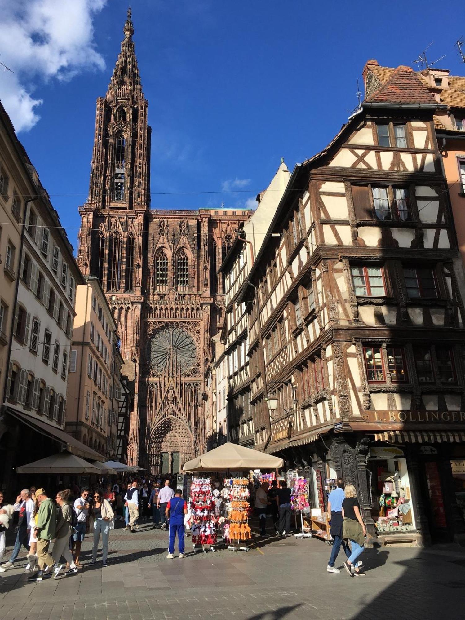 Les Magnolias En Alsace - Meuble De Tourisme 3 Etoiles Lägenhet Barembach Exteriör bild