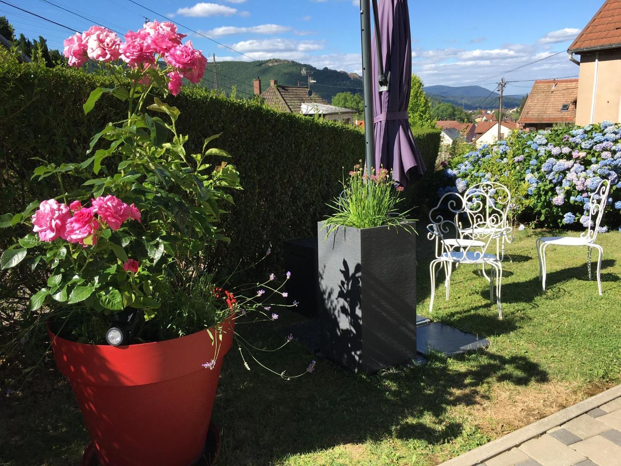Les Magnolias En Alsace - Meuble De Tourisme 3 Etoiles Lägenhet Barembach Exteriör bild